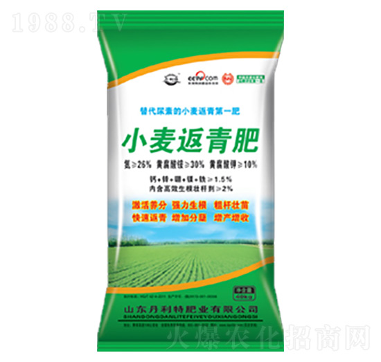 С�������-������