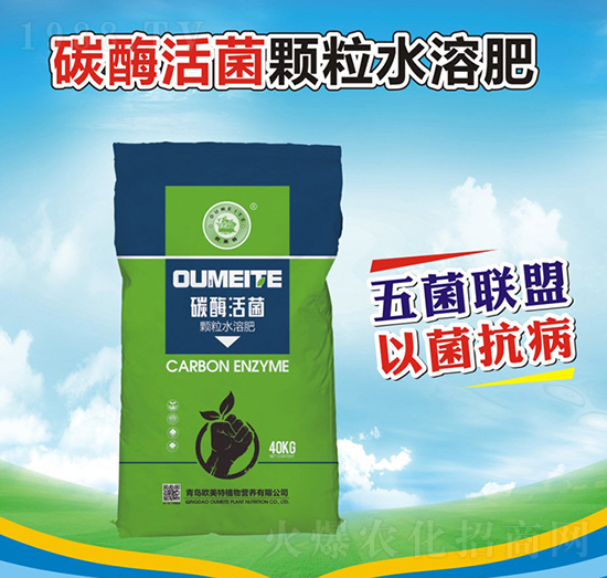 ̼ø����w��ˮ�ܷ�-�W����