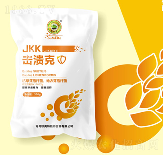 ������-�W����