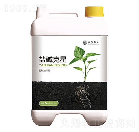 �}�A����-�h���r�I(y��)