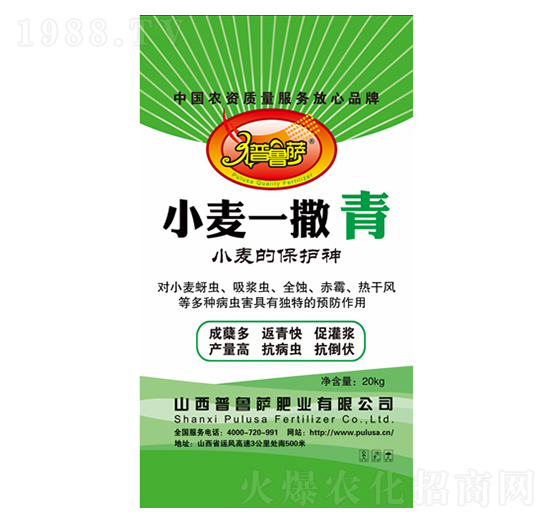 小麥一撒青-普魯薩