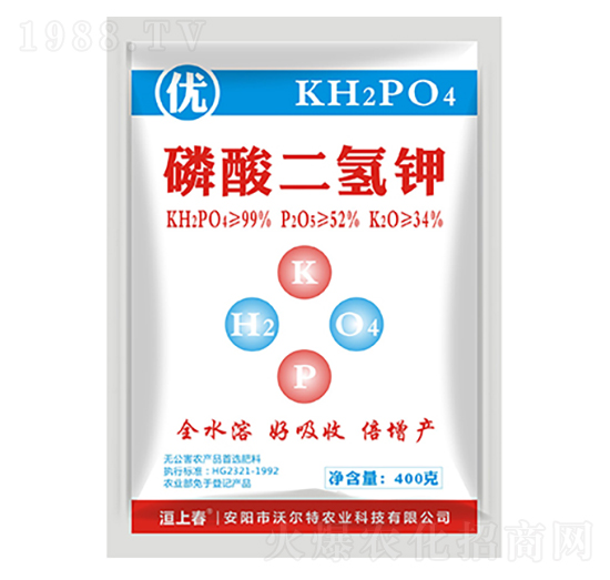 ��������-�֠���