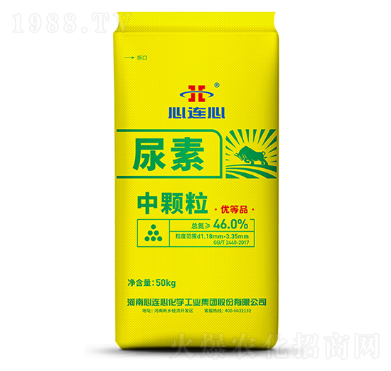 ���w������-���B��