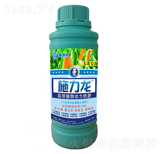 ���׌����~���-ʩ����-�G����