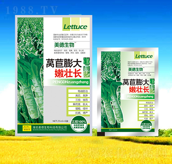 �n������ۉ��L(zh��ng)-��������