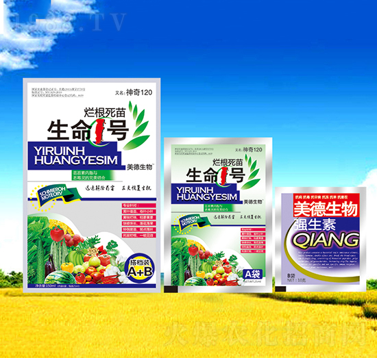 ������������1̖-��������