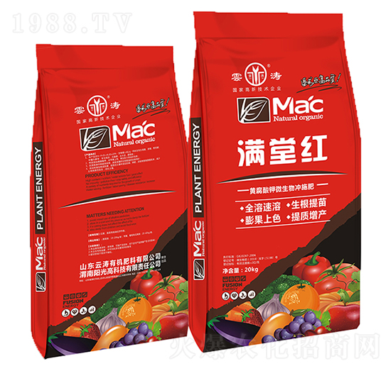 �M�üt�S����⛛_ʩ��-�Ɲ�