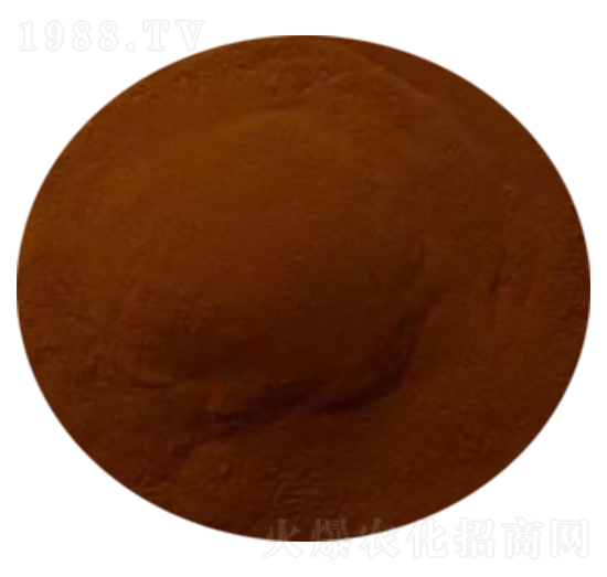 �VԴ�S�����-���컯��