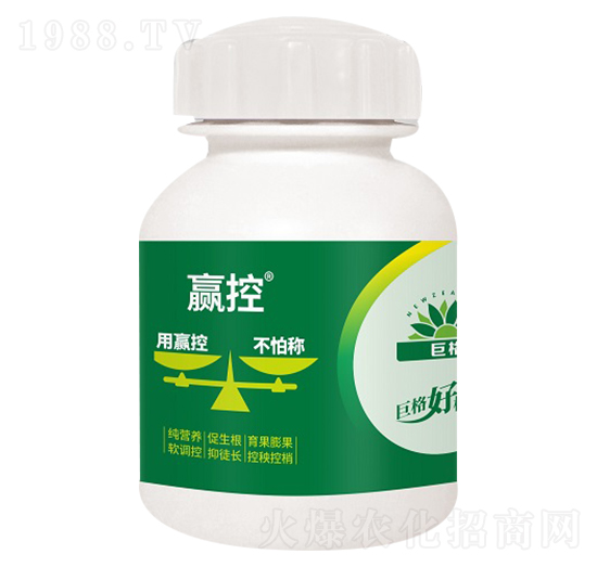 �A��-�޸�����