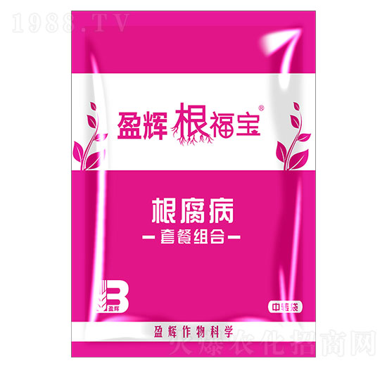 �������ײͽM��-������-ӯ�x