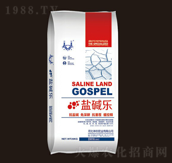 �}�A��(l��)-���r(n��ng)�ʘI(y��)