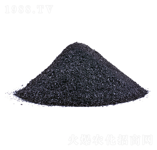 Ƭ�ֲ���-�𺣵|