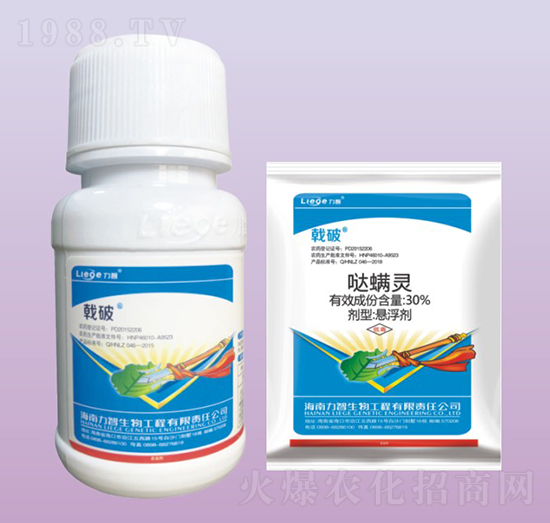 ��ƚ�����-��������