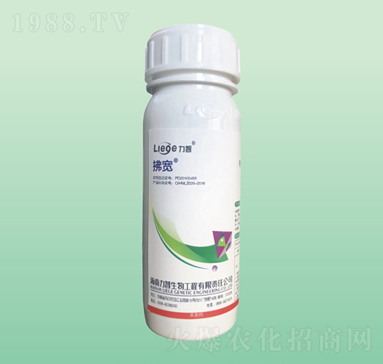 �������x��-��������