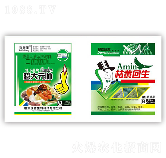 ���Ԫ��+���S����-��������