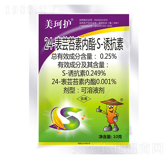 24-���|̦�؃�����S-�T����-�����o-���r����