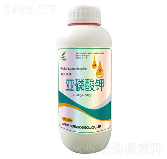 �������-���S