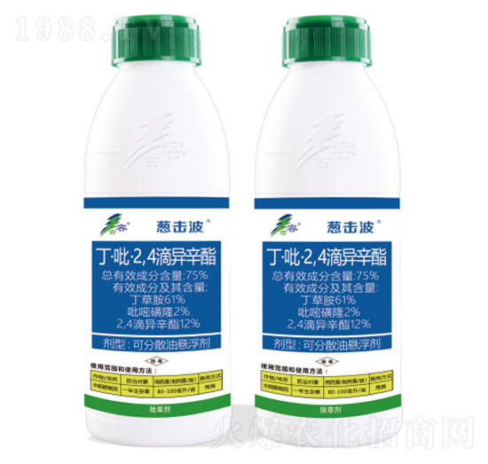 75%��������2��4���ή���֬-�[����-����