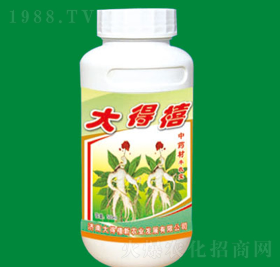 ��ˎ�Č����~���-�S�Ռ�-�����