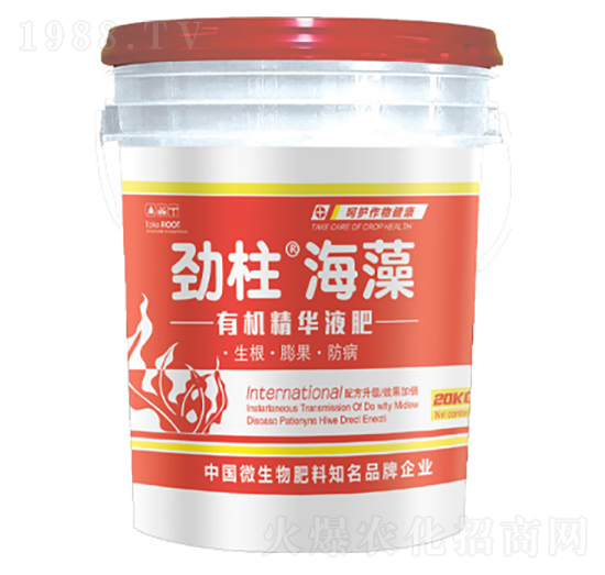 �ЙC���AҺ��-����������-형r�