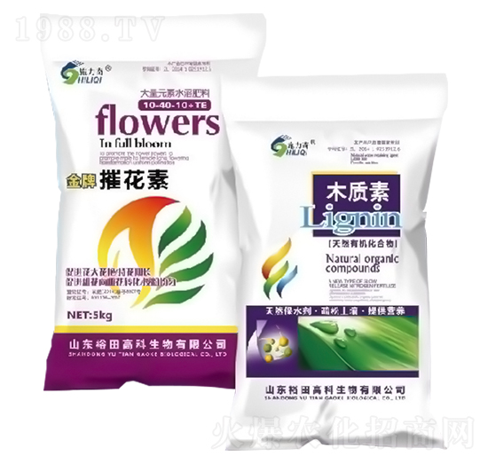 �ݻ���+ľ�|��-ԣ��߿�