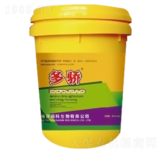 ����-ԣ��߿�