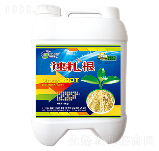 ������-ԣ��߿�