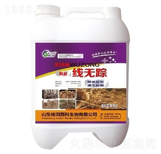 ���oۙ-ʩ����-ԣ��߿�