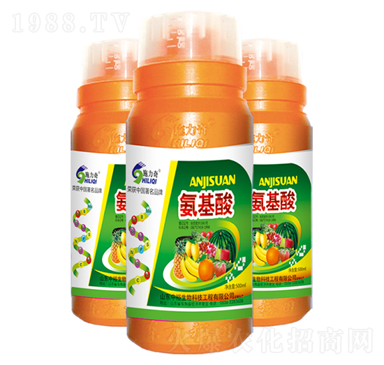 ������-ʩ����-ԣ��߿�