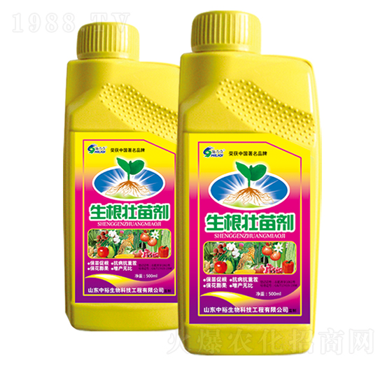 500ml�������焩-ʩ����-ԣ��߿�