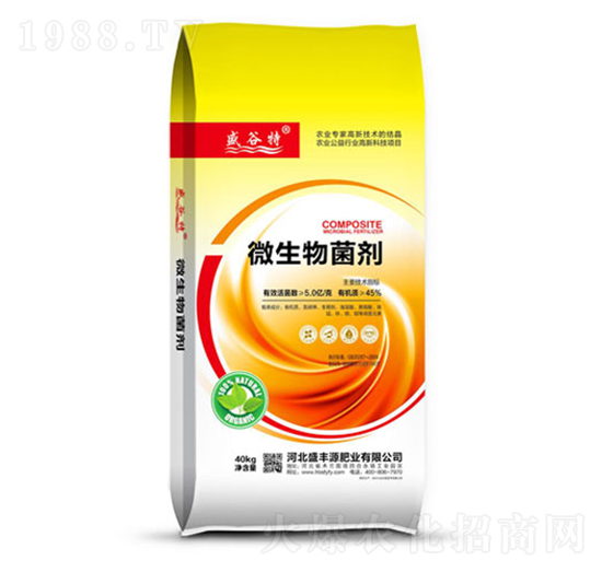 ΢�������-ʢ�SԴ