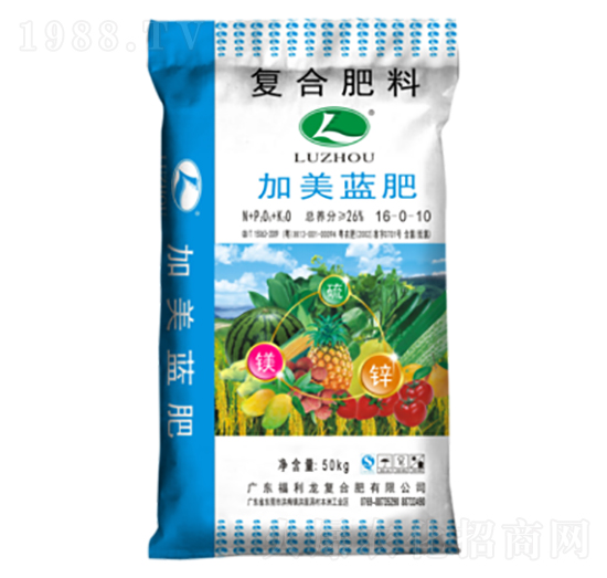 �����{�ʏͺϷ���16-0-10-������