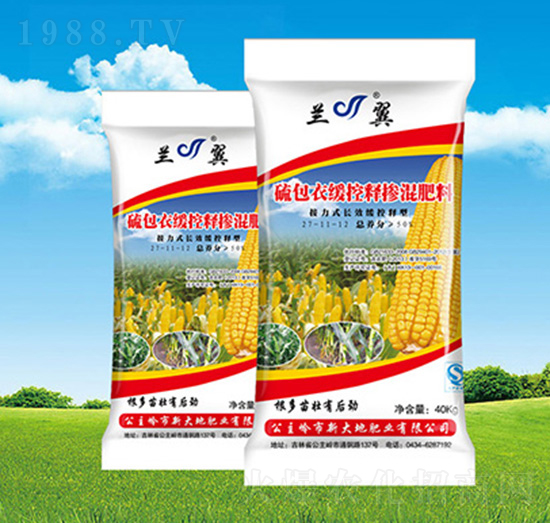 ����¾���ጓ������-�´�طʘI(y��)