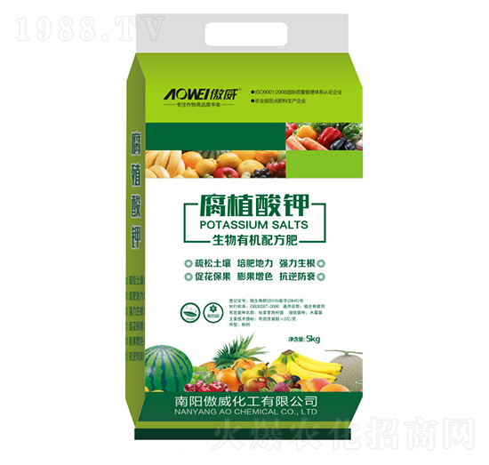 ��ֲ���-����