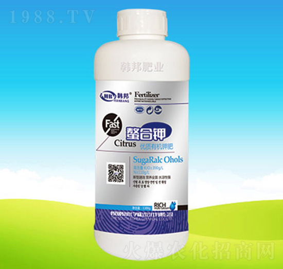 ��(y��u)�|(zh��)�ЙC(j��)⛷�-�����-�n��ʘI(y��)