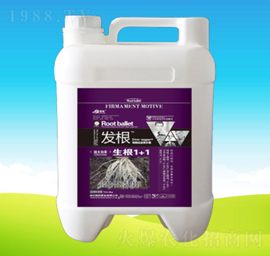 發(fā)根1+1-韓邦肥業(yè)