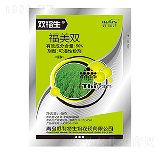 50%�����p-�p����-����������