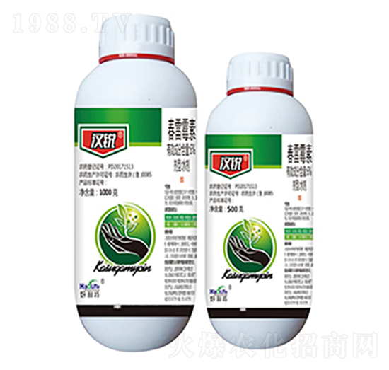 6%����ù��-�h�J-����������