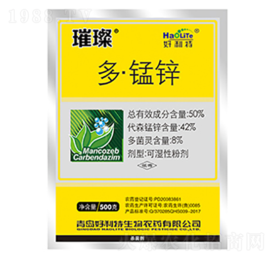 50%�ࡤ�i�\-��-����������