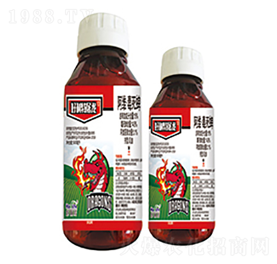 15%���S��������-����������-����������