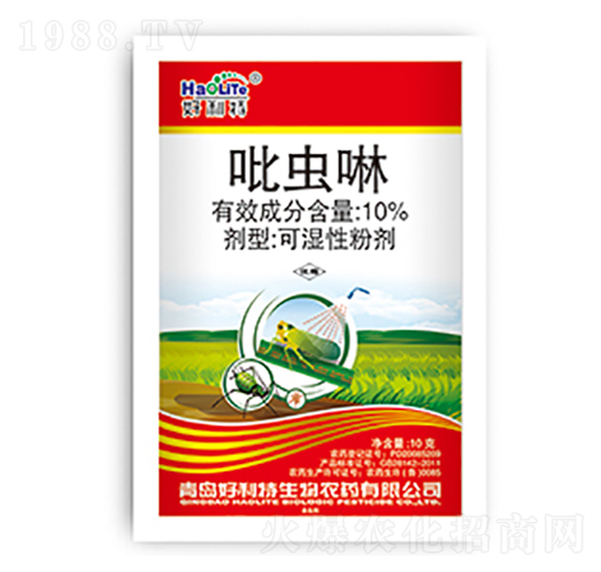 10%���x��-����������