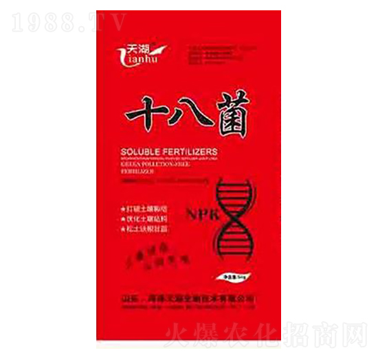 ʮ�˾�-���