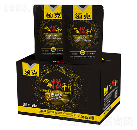 �I(l��ng)���ăɓ�ǧ��-(li��n)��(chu��ng)�r(n��ng)�I(y��)