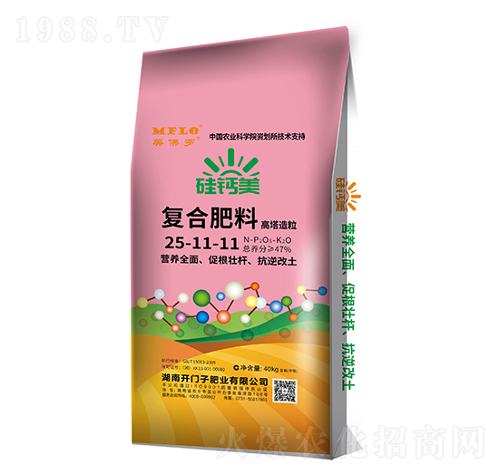 ���}����(f��)�Ϸ���25-11-11-�����_-�_�T��