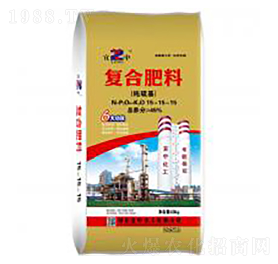 ������͏�(f��)�Ϸ�-���л���