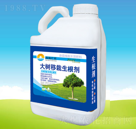 �������������-�ĺ��R�r