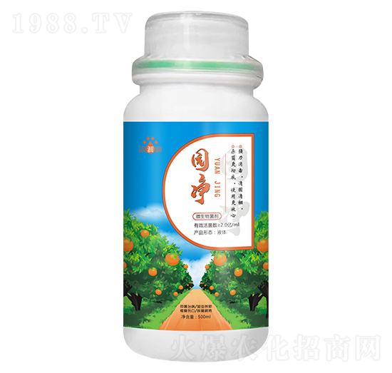 �@����΢���������-��p�p-�������