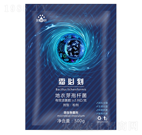 ˪�ؿ̣�΢���������-��p�p-�������