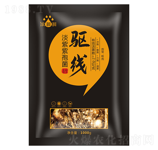 �(q��)�����������߾���-��p�p-�������