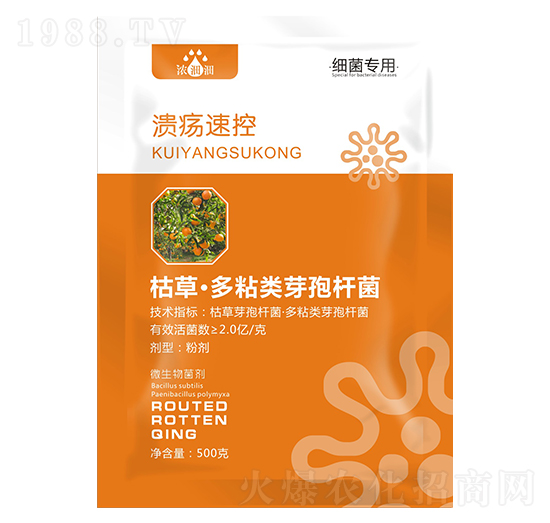 �����ٿأ�΢���������-��p�p-�������